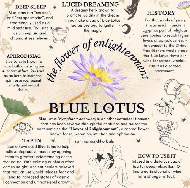 Organic Blue Lotus Flower